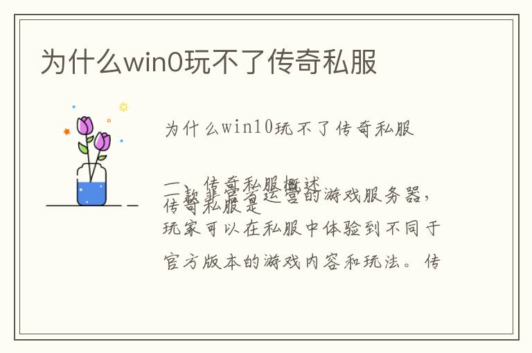 为什么win0玩不了传奇私服